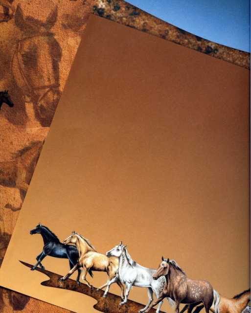 scan0016.jpg